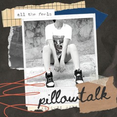 Pillowtalk - Jamie Z Acoustic Cover