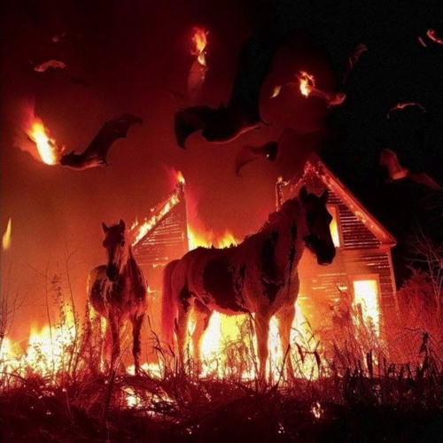 biogenesis (prod. lxtus)