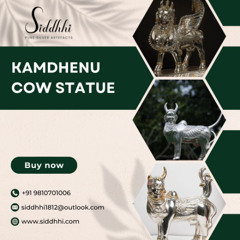 Shiny Silver Kitchenware for Your Home – Shop Now from SIDDHHI