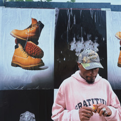 TIMS
