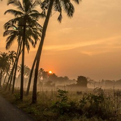 goan - Energy