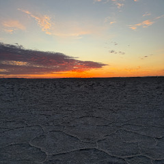 Dusty Fox - Techno Friday Sept 19