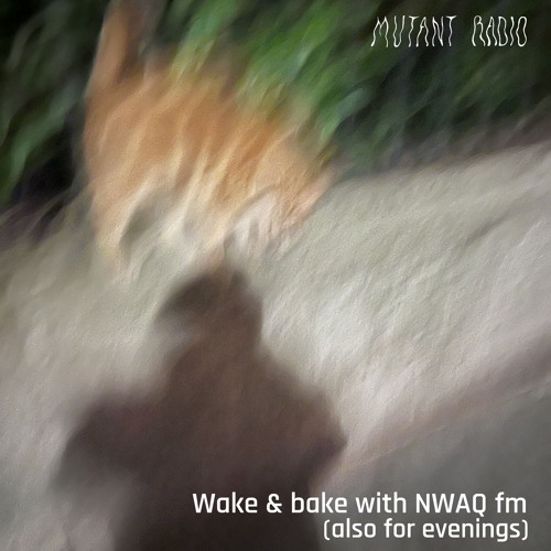 Wake & Bake with NWAQ fm(also for evenings) [09.07.24]