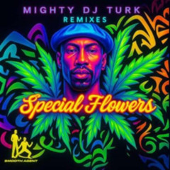 Mighty DJ Turk - Special Flowers (Sean Smith & Devastating Dennis Dub Remix) Snippet