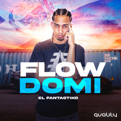 Flow Domi