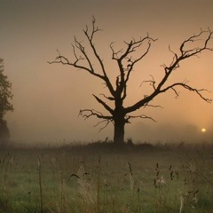 Forgotten