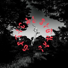 Optical Signal (Moralez Remix)