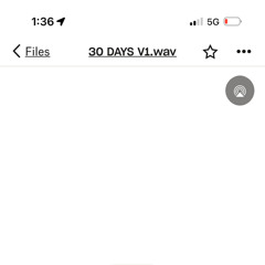 30 DAYS V1.wav