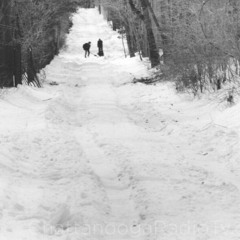 Richard Is Still Missing