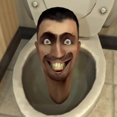 skibidi toilet.