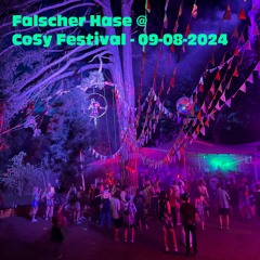 Falscher Hase at CoSy Festival - 09-08-2024