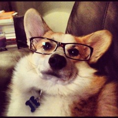 XRA explains networking but it's just compression artifacts