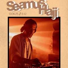 Seamus Haji vinyl set at Filly Brook, London 13.06.25