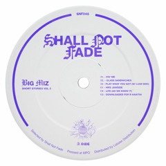 B2. Big Miz - Life (As We Know It) - SNF045