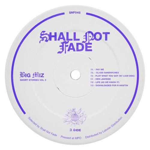 B3. Big Miz - Downloaded For R Hawtin - SNF045