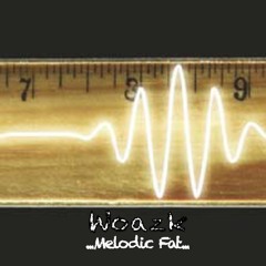 Woaz K - Melodick Fat (Original Mix)