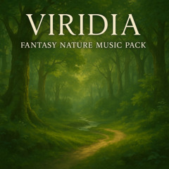 Track 3 - Silent Valley Strings