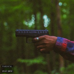 Back Den (Shark Breach & Fony Wallace) | MV & LYRICS IN DESC |