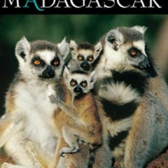 Access KINDLE PDF EBOOK EPUB Madagascar Safari Companion (Safari Companions) by  Alai