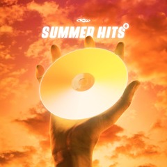 RAW Summer Hits 6