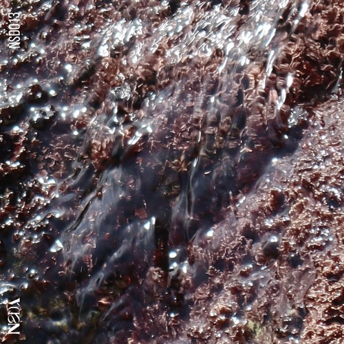 B2 Alexis Aitour, Mermaids On Acid - Flying Fish (Original Mix)