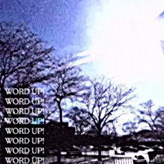 WORD UP! *33kami*
