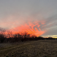 There Must be a Creator