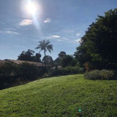 02.08.2025 - Cap. IX - Bem Aventurados os Mansos e Pacíficos - A Paciência (11)