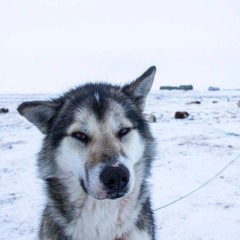 колодец