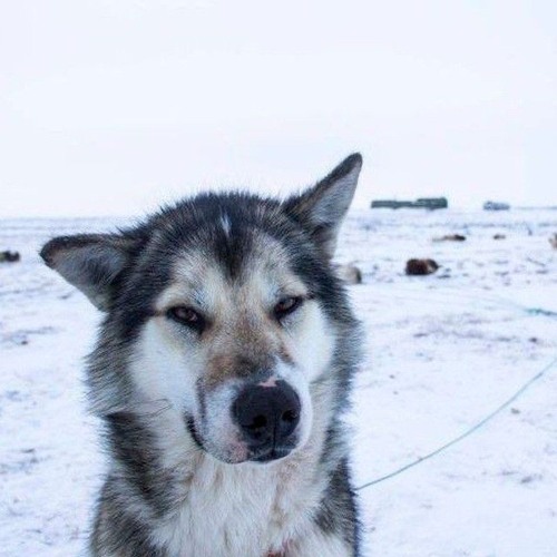 колодец