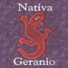 596. Nativa Geranio (Nativa Geranio)