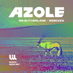 PREMIERE: Azole - Pavian (Black Feeling "Earthbound" remix) [Where Were We]