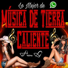 Puras Para Pistear Mix De Tierra Caliente