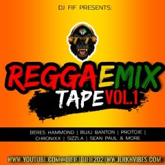 DJ FIF PRESENTS : REGGAEMIX TAPE VOL. 1