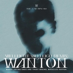 Wanton - Vielleicht Vielleicht (remix) FREE DOWNLOAD