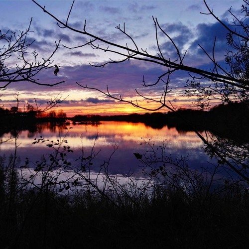 ʟɪqᴜɪᴅ_ʙɪʀᴅꜱ ꜰᴇᴀᴛ. ᴍᴀᴛɪᴄ