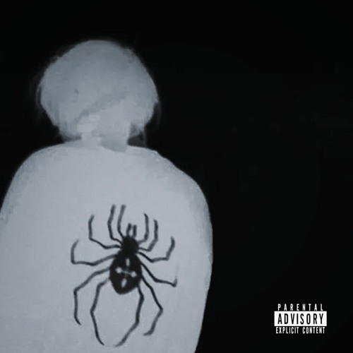 dont (feat. causifye)