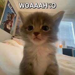 arntwethesame?* [erdo] #digicore