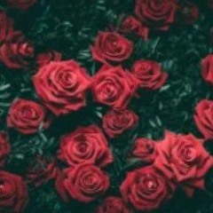 UseÙkùngnk_By_Braddah_Jayrez