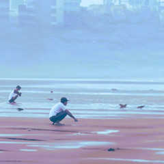 Don't Poop On The Beach