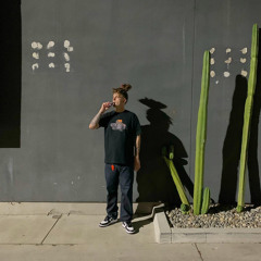 The $tash ft. Rosewhudd