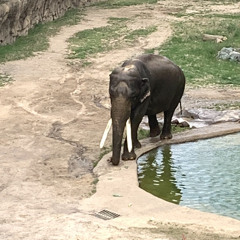 shitty Nigerian Movie background music