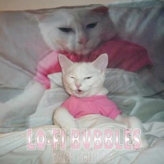 LO-FI BUBBLES (TAPE SNIPPET)
