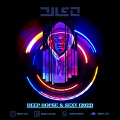 DJ Leo - Deep House & Sexy (Jan.2022)