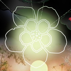 Dim Garden — Bloeiend