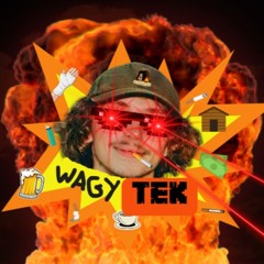 WAGYTEK