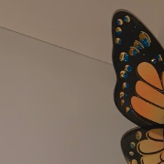 chrysalis