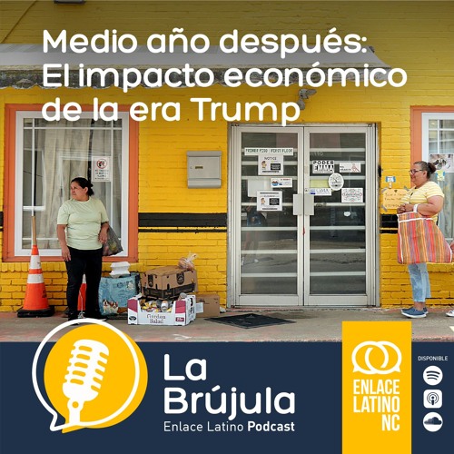 Stream Medio año después: El impacto económico de la era Trump by ...