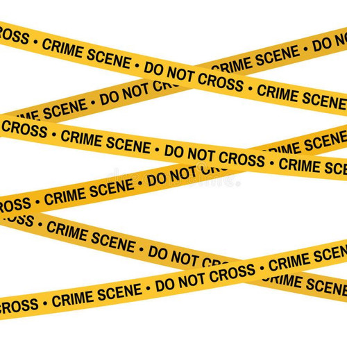 IS IT A CRIME