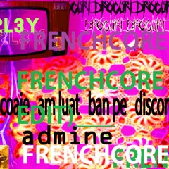 coaie am luat ban pe discord dar frenchcore si low quality